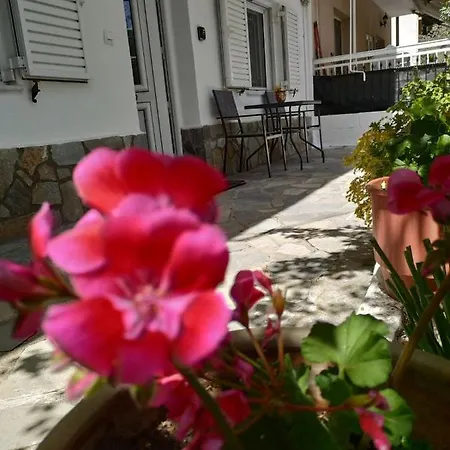 Chrysanty's Tea House *