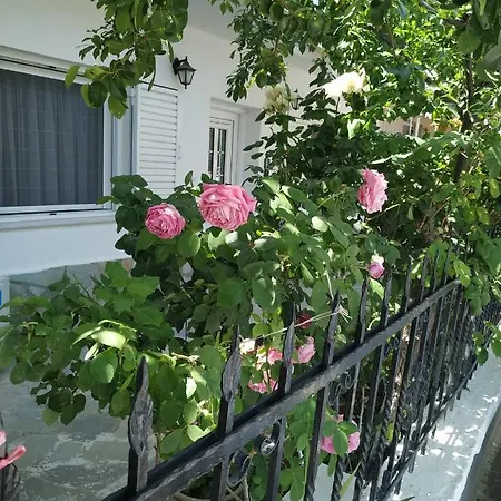 公寓 Chrysanty's Tea House 卡兰巴卡