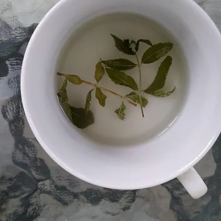 Chrysanty's Tea House *