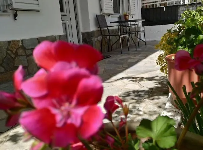 Chrysanty's Tea House *