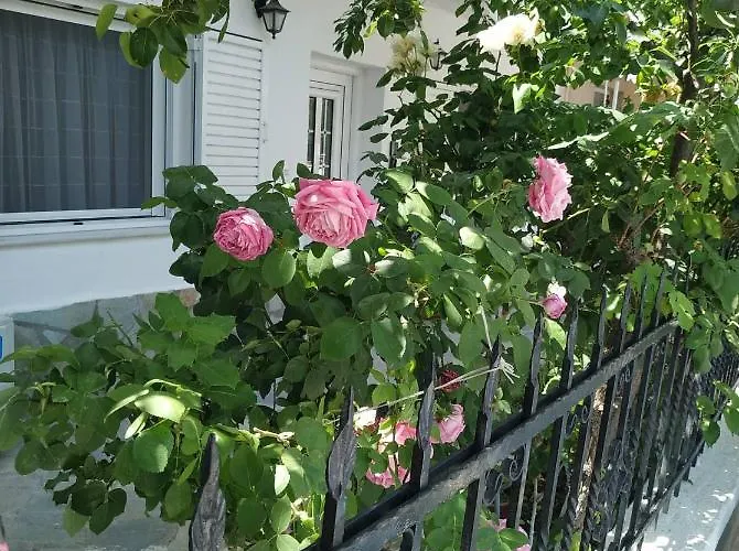 Apartment Chrysanty's Tea House Kalambaka