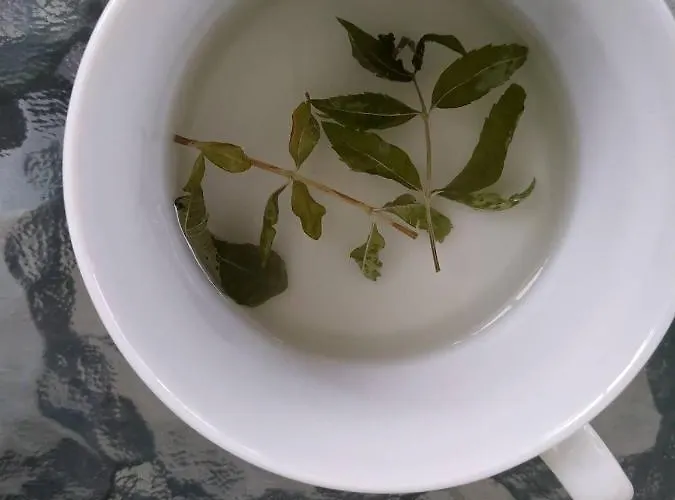 Chrysanty's Tea House *